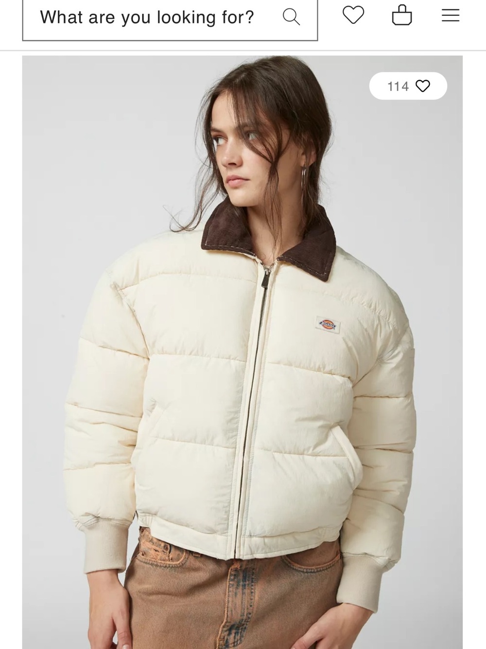 Dickies Overbrook Puffer Jacket